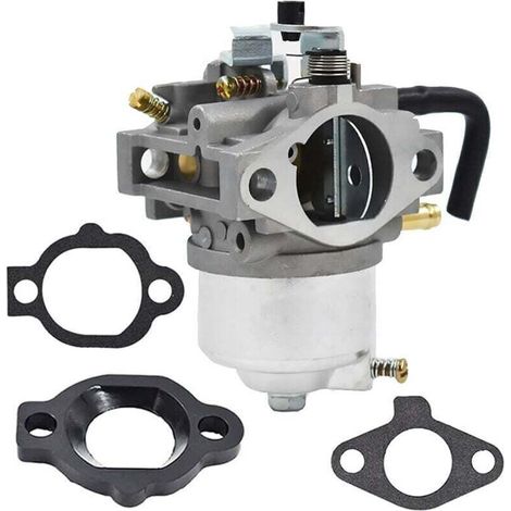Kit carburateur 492256 pour moteurs de tondeuses à gazon Briggs & Stratton 260000 et 261000(référence 261777-0140-99)