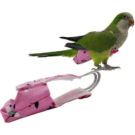 Couche-culotte pour perroquet, combinaison de vol, vêtements pour pigeons, oiseaux de compagnie de taille moyenne à grande - M - pastèque (1/4)