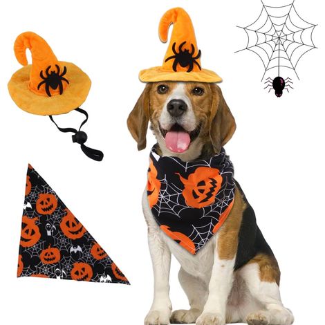Costume d'Halloween avec chapeau de chauve pour chien Noir (1/5)