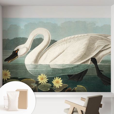 Papier peint intissé avec imprimé pour décoration intérieure pour rénovation a motif - Colle incluse gratuite Cygne et nénuphars 152x104 cm (1/5)