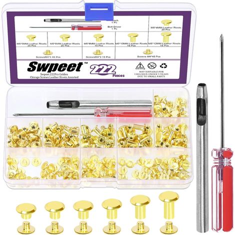 Lot de 110 rivets en cuir doré M5 x 4 mm/5 mm/6 mm/8 mm/10 mm/12 mm avec kit d'outils d'installation, rivets à vis M5 Chicago pour réparation du cuir (1/5)