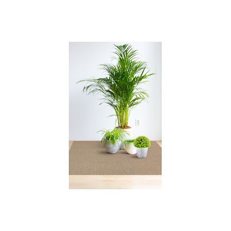 COPRIPAVIMENTO PVC CORALLO 9845-4   0,80MM 200HCM Q.TA 80