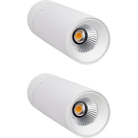 Confezione da 2 proiettori LED Twin Medium da 20 W, 1500 lm, orie