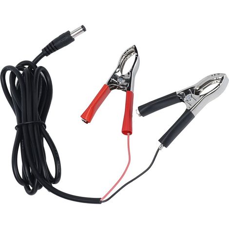 Câble chargeur 12V-24V avec pinces crocodile 1.5m pour batterie (1/5)