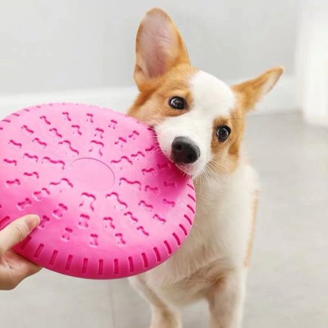 Jouet Frisbee pour Chien Rose Diamètre 23,5 cm, (1/5)
