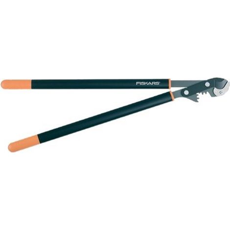 Pin Pines Yunque 81 cm