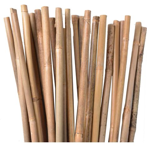 50 - Tuteur Bambou - Tige Naturelle - Support Plantes Grimpantes Et Rosiers - Usage Intérieur Extérieur - Naturel - 120cm