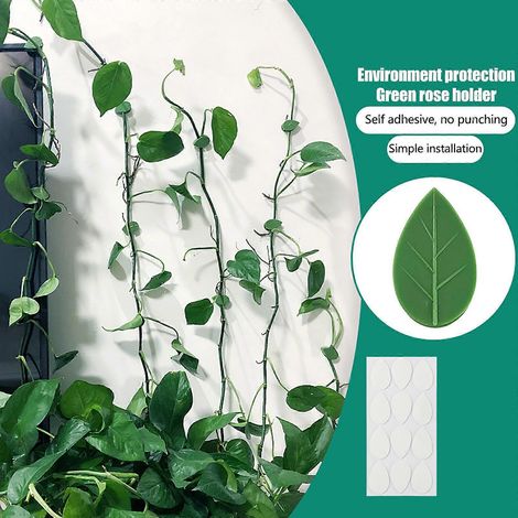 Clips de fixation pour plantes grimpantes murales, crochets de fixation invisibles pour plantes grimpantes (1/5)