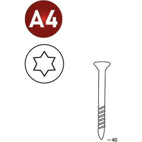 2 000 Vis Galvanisées Torx 16° (Tx) (Scrail) - 25/28x40 mm - D-Work