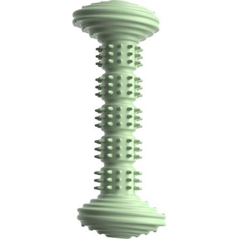 Jouet à mâcher en TPR pour chien - Nettoyage des dents - Durable - Vert (1/5)