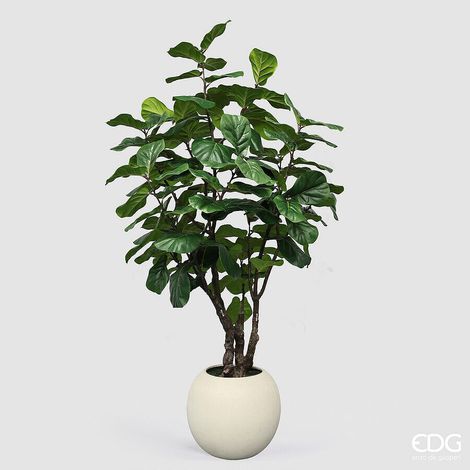 EDG Enzo De Gasperi Pianta Artificiale Ficus Lyrata Vogue con Vaso H240 cm – Pianta Decorativa Realistica Design Moderno