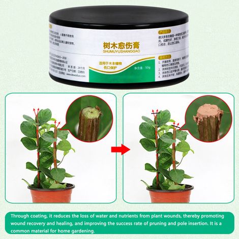50 g Pflanzenheilmittel, Wundverschlussmittel für Bonsai, Baumschnittpaste (1/5)