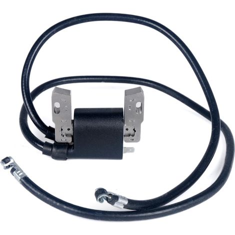 Compatible with la Bobine d'allumage Compatible with Briggs & Stratton Armature Magneto Design 42A707 42A777 422707 394891 392329 590781