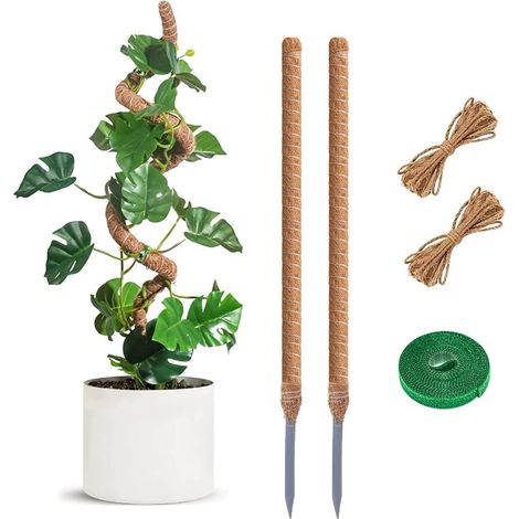 2 pezzi di palo per piante, palo per piante pieghevole da 60 cm, palo per piante di cocco, supporto estensibile per piante rampicanti, per piante rampicanti, giardino, casa (1/5)