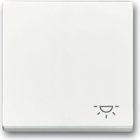 BUSCH-JAEGER BASCULE AVEC SYMBOLE LUMINEUX 2520 LI-84