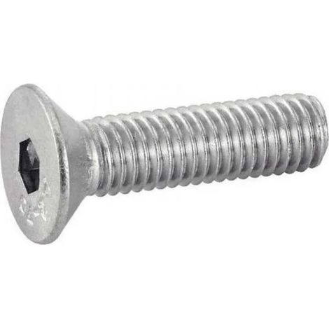 Vis euromarine iso 10642 inox 30 mm tête fraisée