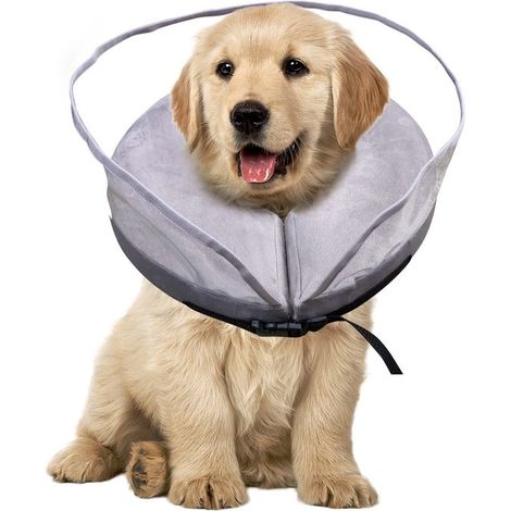 Collare gonfiabile per cani, taglia L, grigio (1/5)