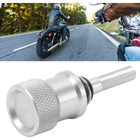 Sitzschraube für BME R NINE T Pure Racer silber (1/5)