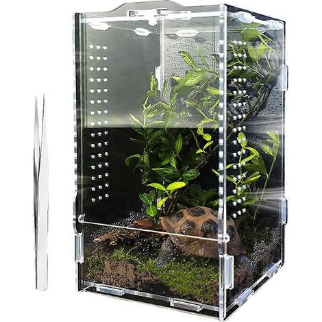 Terrarium für Springspinnen, großes Acryl-Terrarium für Vogelspinnen, Zubehör für Springspinnen-Terrarien (1/5)
