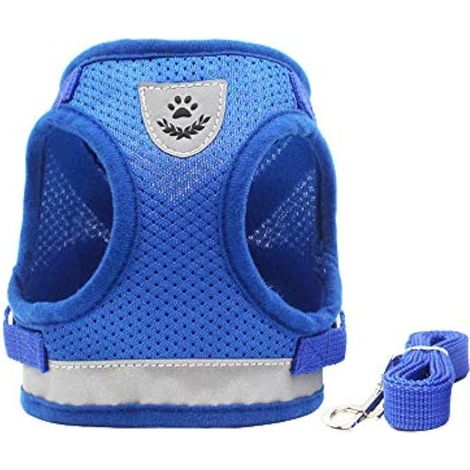 Harnais et laisse pour chat, harnais à gilet souple ajustable pour petits animaux de compagnie de taille moyenne, maillage respirant, sans sécurité (1/5)