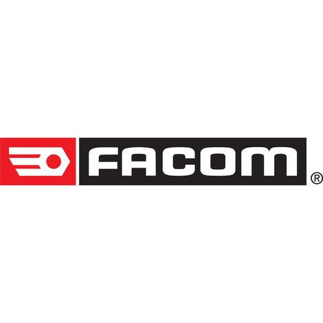 FACOM Fernanlasskabel (1/2)