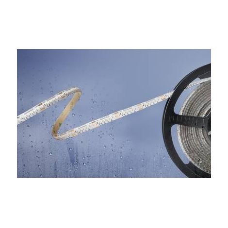 Barthelme Basic Cinta LED blanca 5 m regulable