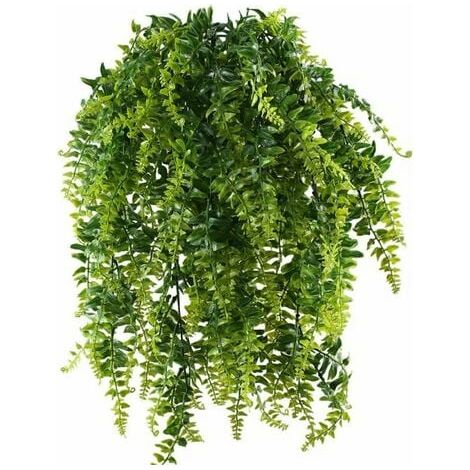 Hängefarne – Für Balkon, Hochzeit oder Garten – Muttertagsgeschenk mit Frischegarantie
