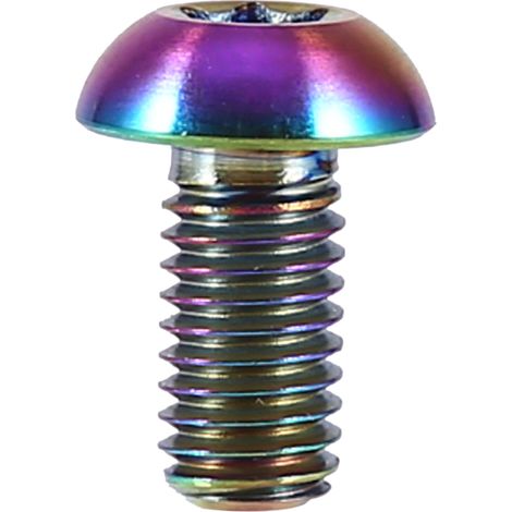 12 pièces Boulons T25 en Titane pour Disques de Frein Vélo (Couleurs Assorties) (1/3)