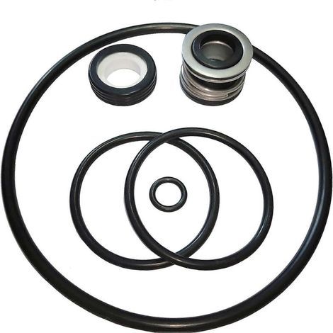 Kit de joints pour pompe de piscine compatible avec AquaFlo FloMaster XP2 XP2E. Comprend un joint torique de volute PS200. (1/4)