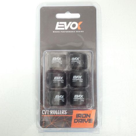 Variomatik-Rolle EVOK für Roller Piaggio 180 Hexagon LXT 1998 bis (1/4)