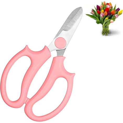 Sécateur robuste pour fleurs, branches et feuilles, cisaille à fleurs de jardin, ciseaux floraux haut de gamme en acier inoxydable épais (1/5)