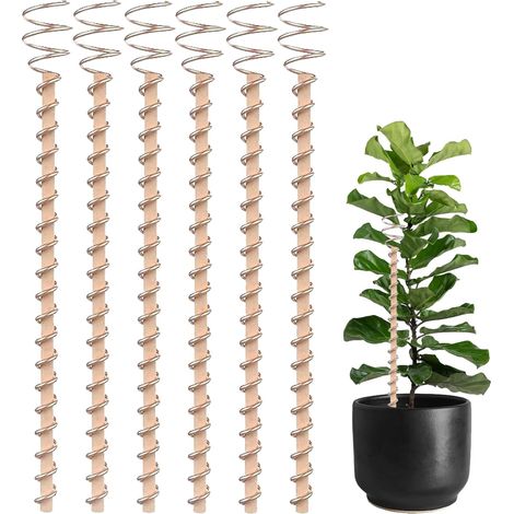 Pflanzenstäbe, Set mit 6 Kupferstäben 29 cm (11,5 Zoll) für den Gartenbau, tragbar und wetterfest.