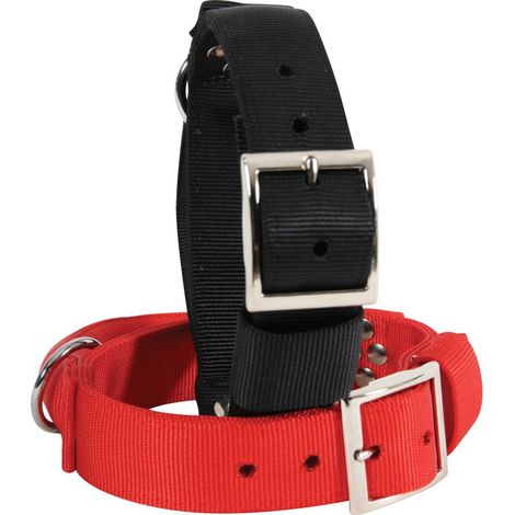 Collier avec poignée T 70 cm. rouge pour chien. - zolux (1/5)