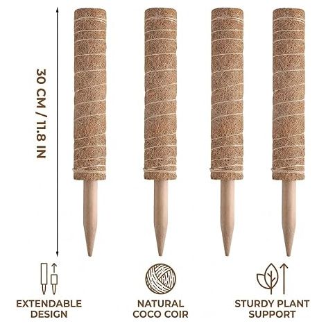Tuteurs Coco Extensibles Plantes d'Intérieur, Support Plantes Tuteur Grimpantes (30cm) (1/4)