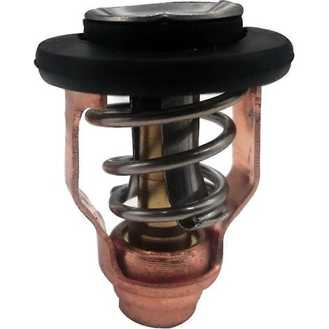 Thermostat 17670-90J10 71 degrés pour moteur hors-bord DF90-SSZFV (1/5)