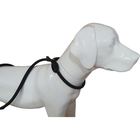 Laisse Aiden ø12 mm L170 cm anti traction, noir , pour chien - animallparadise (1/5)