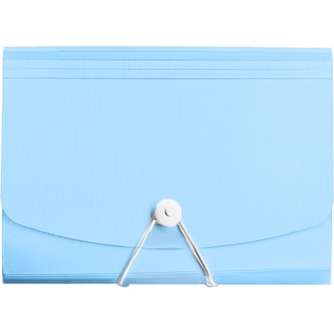 Boîte de rangement pour coupons, format A4, support de bureau, style portefeuille, avec étiquettes de couleur pour un tri facile, fabriquée en matériau non toxique et imperméable, durable. (1/4)