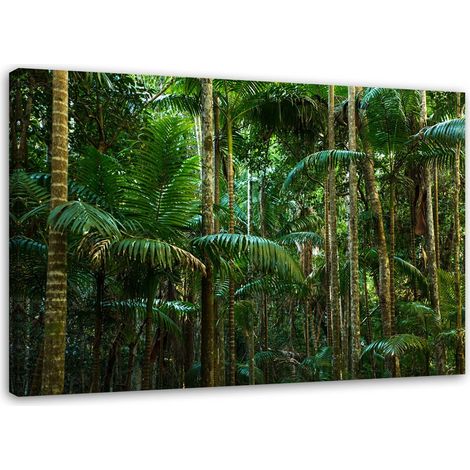 Tableau sur toile Palmiers Forêt Nature 60x40 (1/5)