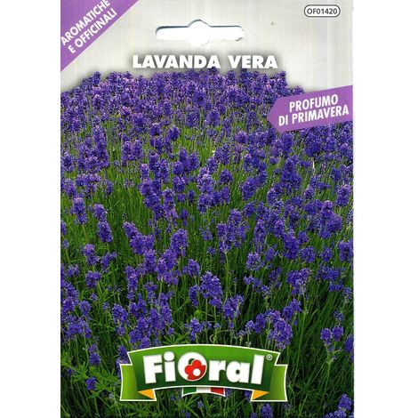 Semences de plantes aromatiques et officinales en sachet pour jardinier amateur (1/5)