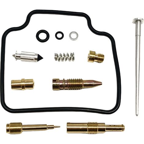 Kit de réparation carburateur - compatible NX650 - F244 (1/5)