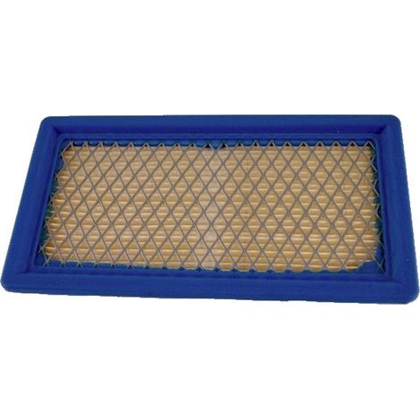 Filtro Air BRIGGS et STRATTON 710265