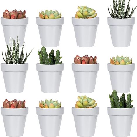 24 Pack 2 Inch Mini Plastic Flower Pots, Grey Indoor Plant Pots with Drainage, Plant Not Included (Classic) (1/5)