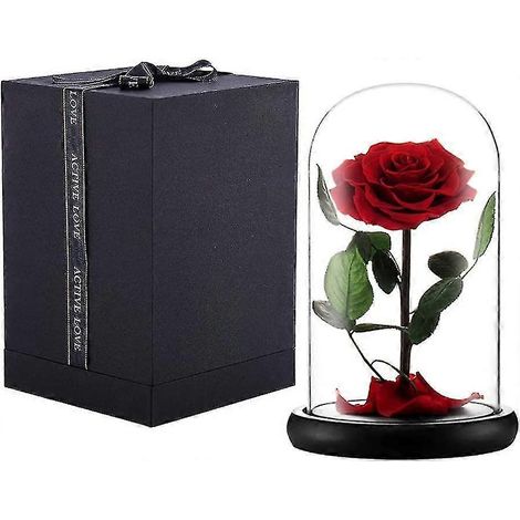 Rose véritable préservée, rose éternelle sous cloche en verre, cadeau idéal pour Thanksgiving, Noël, la Saint-Valentin, un anniversaire, la fête des mères (rouge) (1/5)