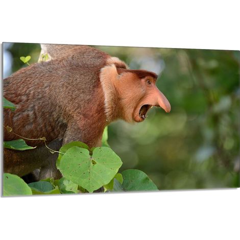 Glasschutzplatte für den Herd 80x52 Nosacz (1/5)