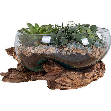 Récipient SAN MARINO H 20cm – Bois de teck et verre (1/4)