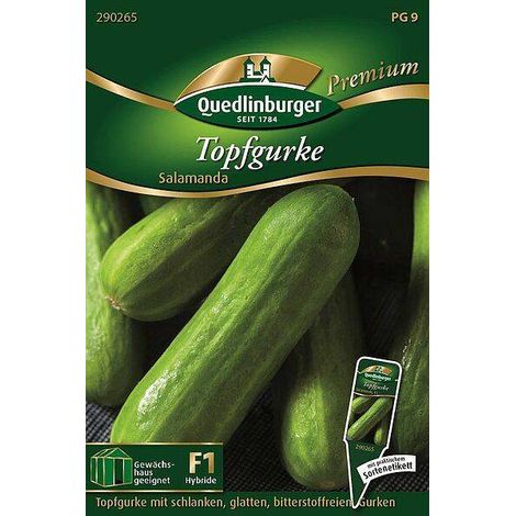 Quedlinburger Topfgurke Salamanda - Gemüsesamen