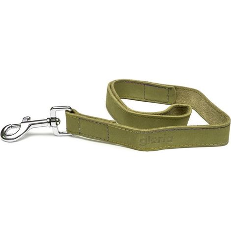 Laisse pour Chien Gloria Oasis 1.5 x 100 cm Vert (1/5)
