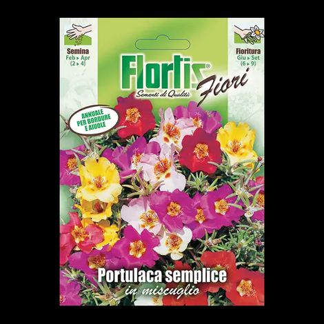 PORTULACA SEMPLICE MIX (1/2)