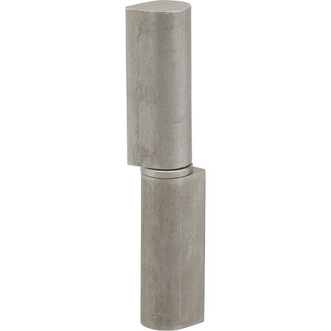 Thirard – Paumelle inox pour porte d'entrée et intérieure – Dimensions 16x20x100mm – Fixation par 3 ou 4 trous – Conçue pour bois dur