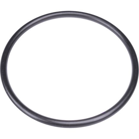 Joint couvercle de pompe à eau Gardena 4000/5, 5000/5, 6000/6 Inox, 68x4mm